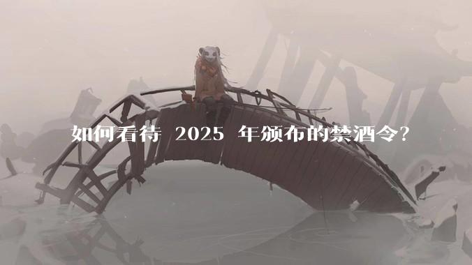 如何看待 2025 年颁布的禁酒令？
