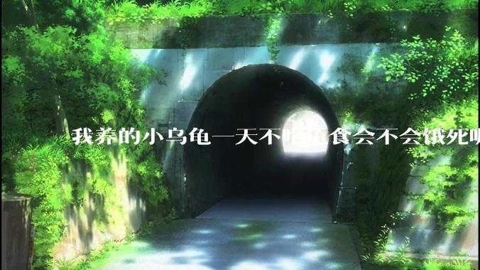 我养的小乌龟一天不吃龟食会不会饿死呢？
