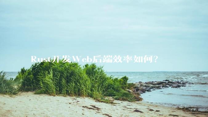 Rust开发Web后端效率如何？