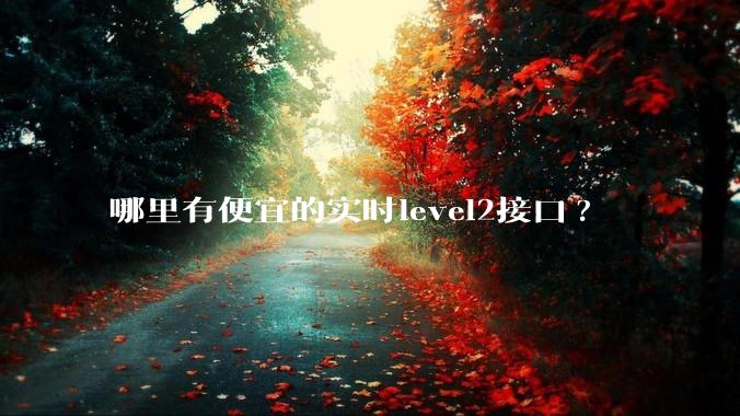哪里有便宜的实时level2接口?