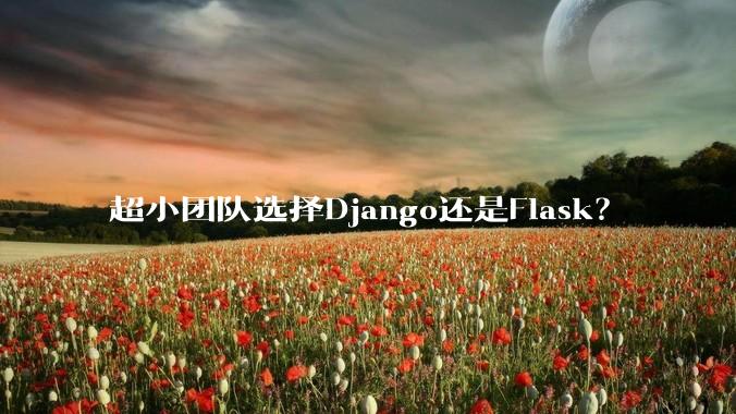 超小团队选择Django还是Flask？
