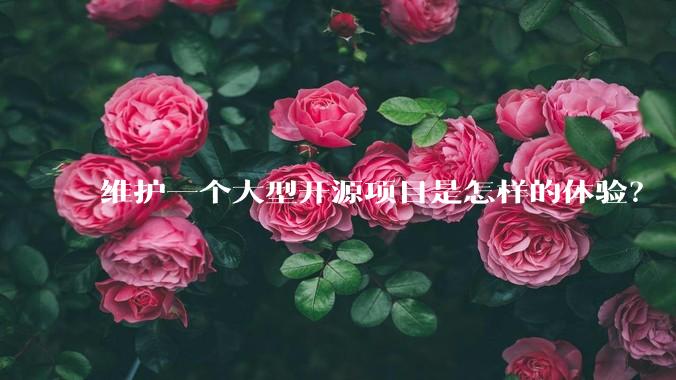 维护一个大型开源项目是怎样的体验？