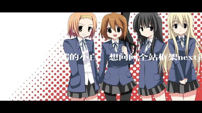 刚学前端的小白，想问问全站框架nextjs+shadcn+prisma为什么在国内不火呢？
