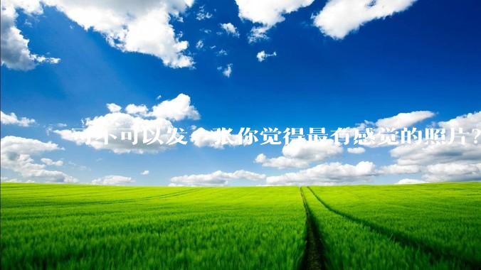 可不可以发一张你觉得最有感觉的照片？