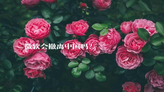 微软会撤离中国吗？
