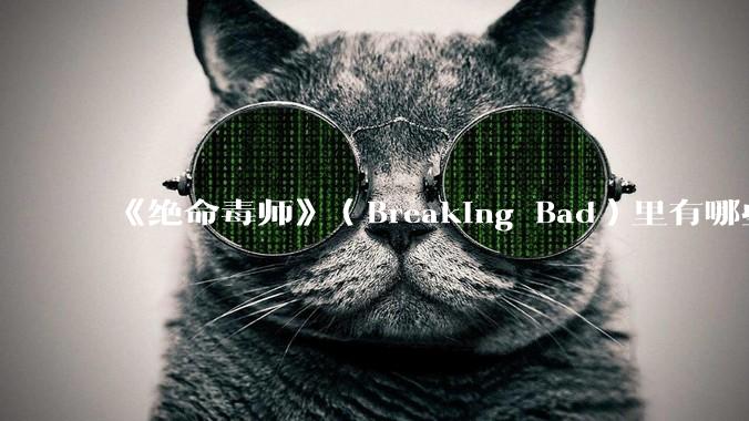 《绝命毒师》（Breaking Bad）里有哪些硬伤？