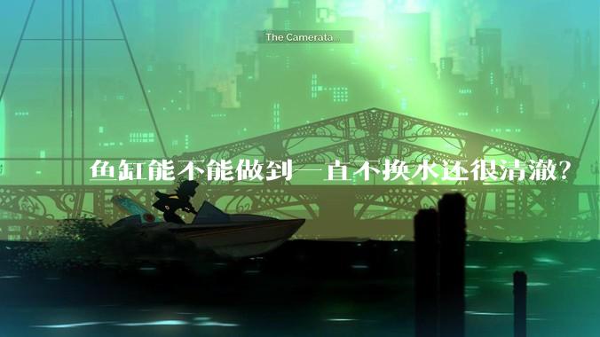 鱼缸能不能做到一直不换水还很清澈？