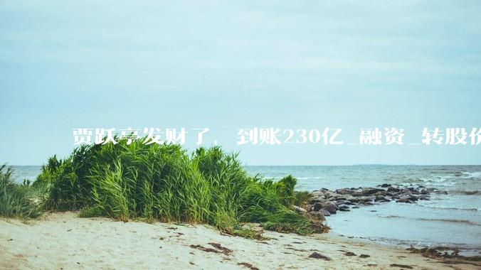 贾跃亭发财了，到账230亿_融资_转股价_所有人