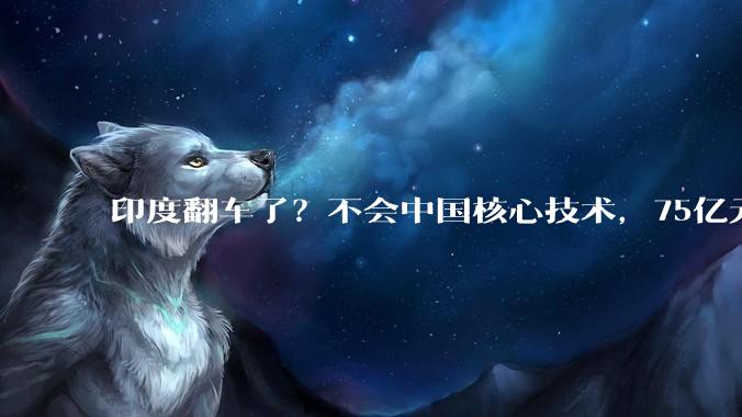印度翻车了？不会中国核心技术，75亿元设备吃灰_工业_中日韩_阿达尼