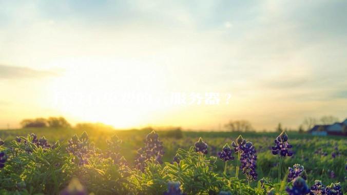 有没有免费的云服务器?