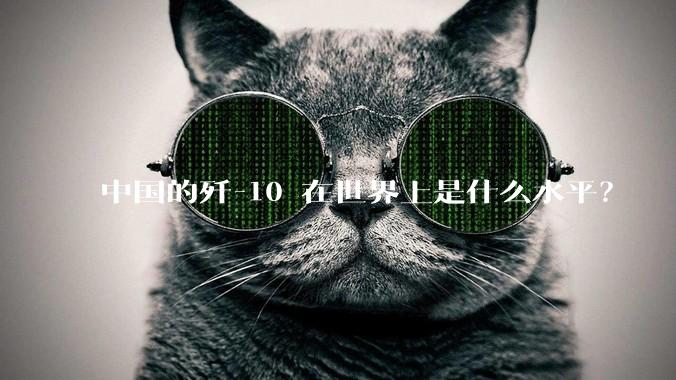 中国的歼-10 在世界上是什么水平？