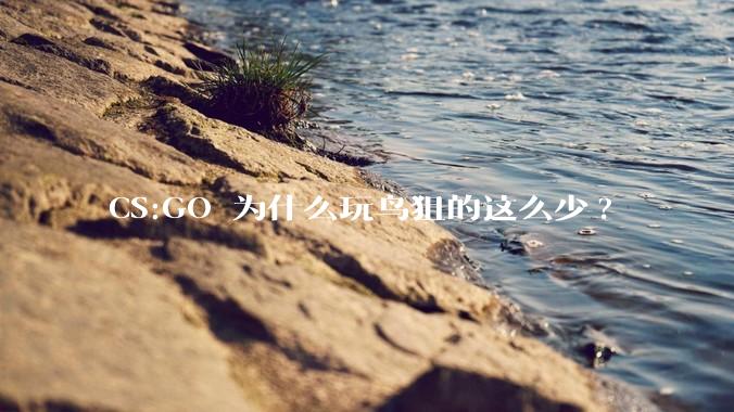 CS:GO 为什么玩鸟狙的这么少?
