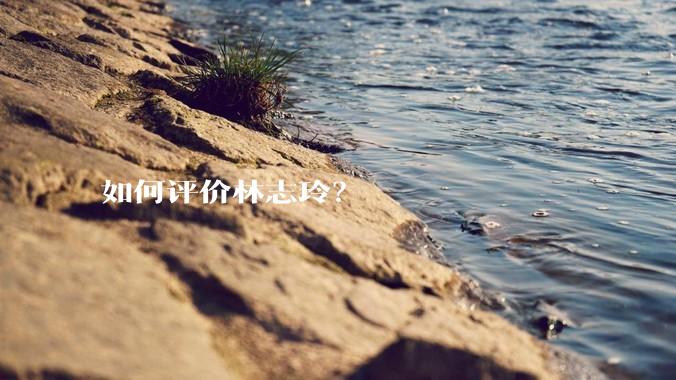 如何评价林志玲？