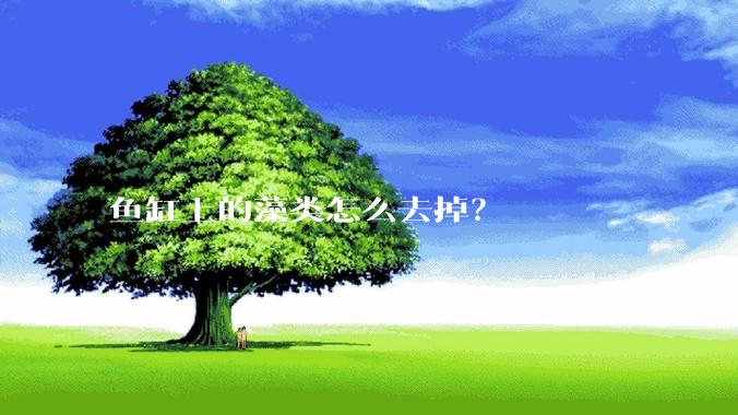鱼缸上的藻类怎么去掉？