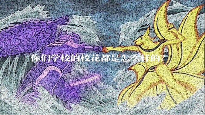 你们学校的校花都是怎么样的？