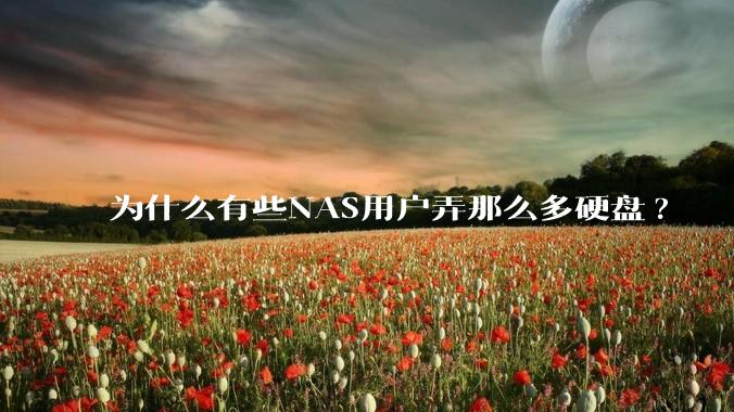 为什么有些NAS用户弄那么多硬盘?