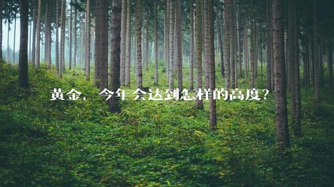 黄金，今年会达到怎样的高度？