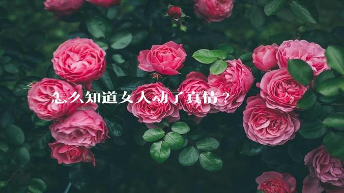 怎么知道女人动了真情?