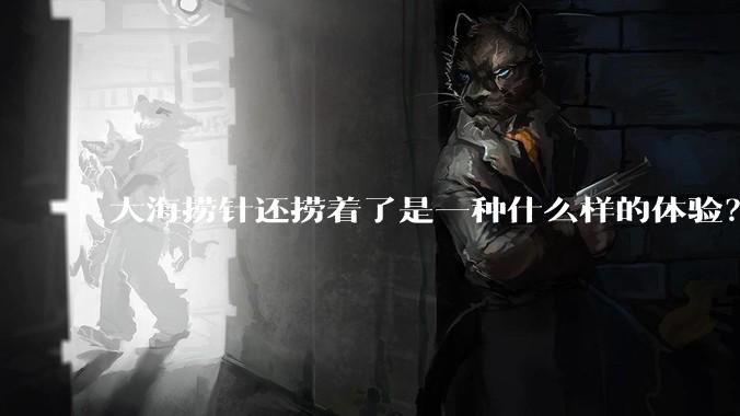 大海捞针还捞着了是一种什么样的体验？