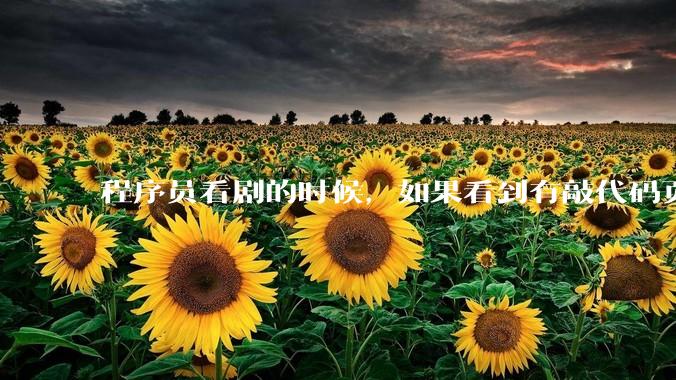 程序员看剧的时候，如果看到有敲代码页面，会暂停看代码吗？