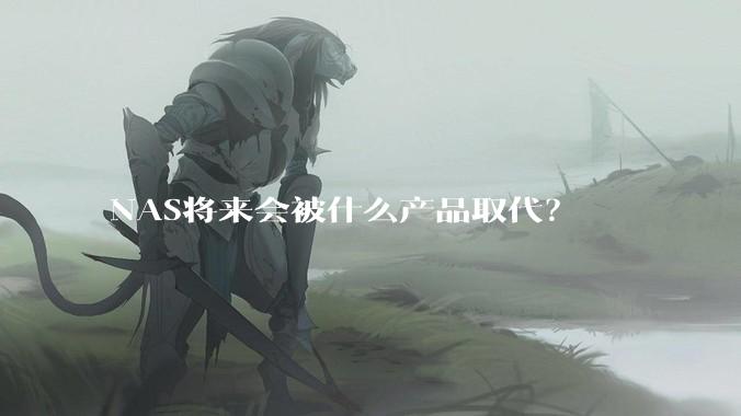 NAS将来会被什么产品取代？