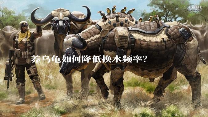 养乌龟如何降低换水频率？