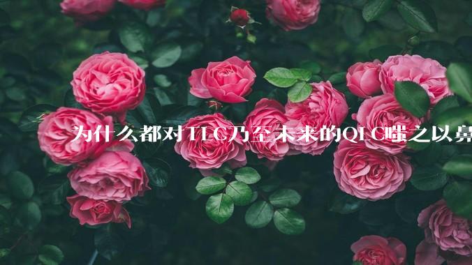 为什么都对TLC乃至未来的QLC嗤之以鼻呢?