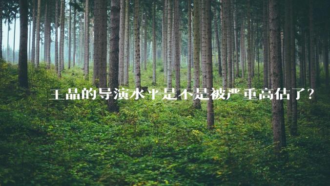 王晶的导演水平是不是被严重高估了？