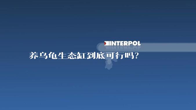 养乌龟生态缸到底可行吗？