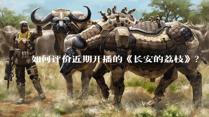 如何评价近期开播的《长安的荔枝》？