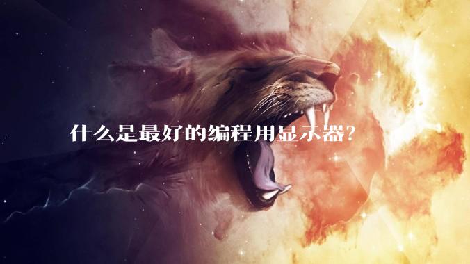 什么是最好的编程用显示器？