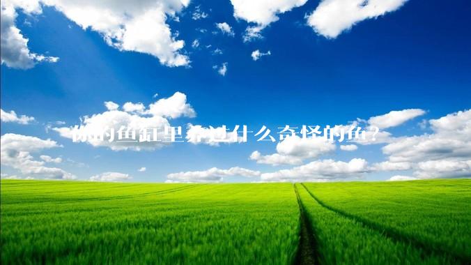 你的鱼缸里养过什么奇怪的鱼？