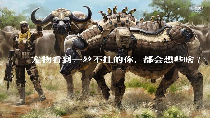宠物看到一丝不挂的你, 都会想些啥?