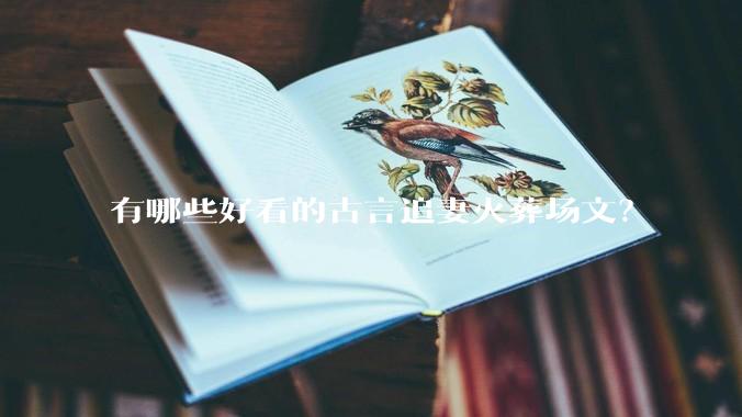 有哪些好看的古言追妻火葬场文？