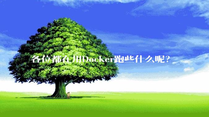 各位都在用Docker跑些什么呢？