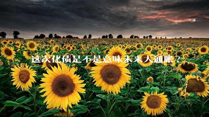 这次化债是不是意味未来大通胀?