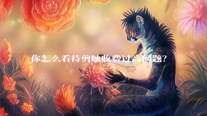 你怎么看待剪映收费过高问题？