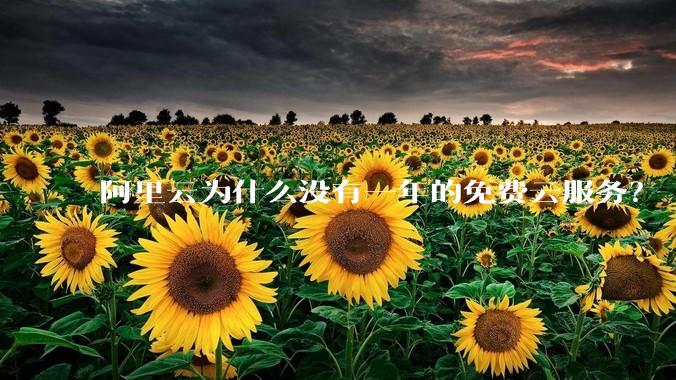 阿里云为什么没有一年的免费云服务？