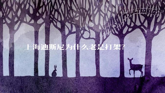 上海迪斯尼为什么老是打架？