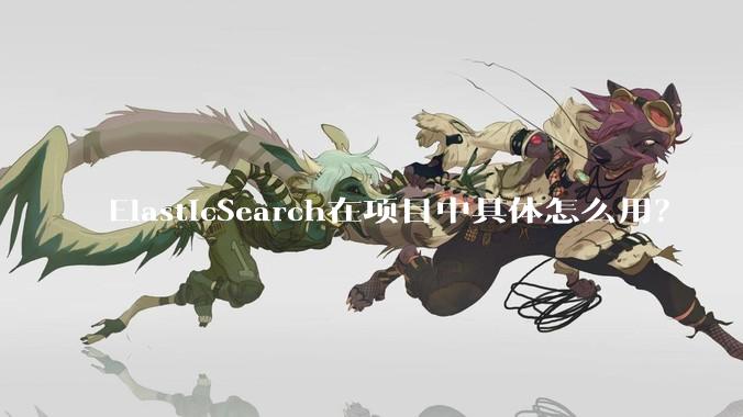 ElasticSearch在项目中具体怎么用？