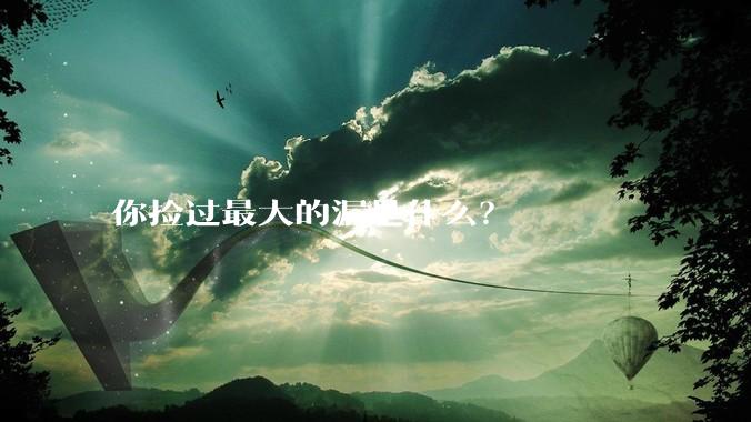 你捡过最大的漏是什么？