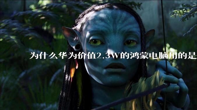 为什么华为价值2.3W的鸿蒙电脑用的是美国西数的中低固态硬盘？？