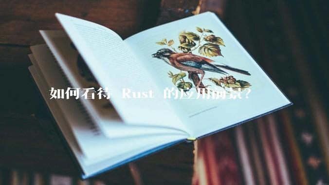 如何看待 Rust 的应用前景？